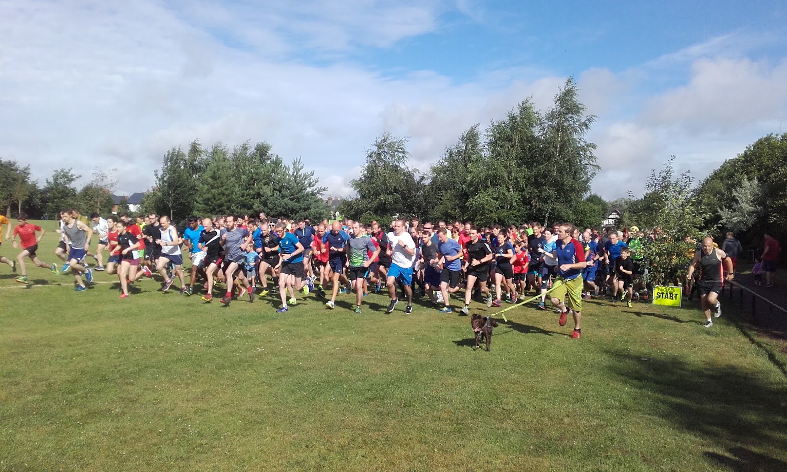 ‘It’s absurdly welcoming’: why I do parkrun