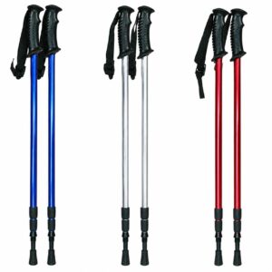 Nordic walking poles